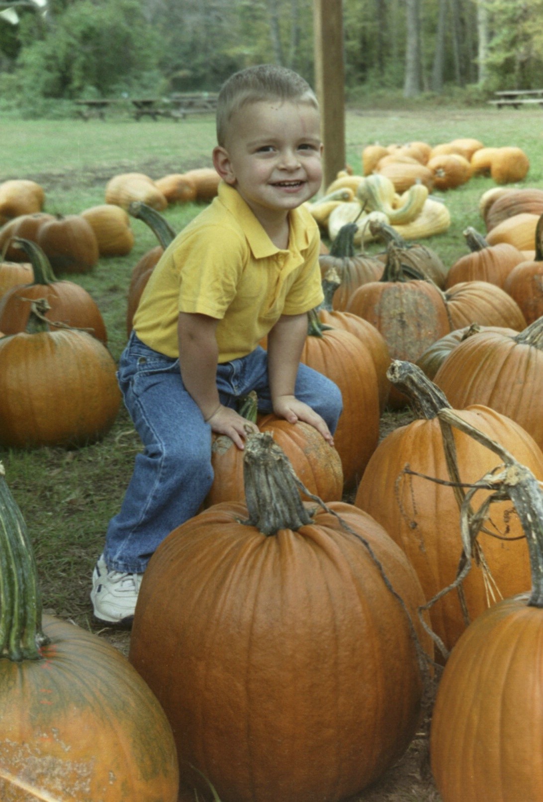 Owen McGee