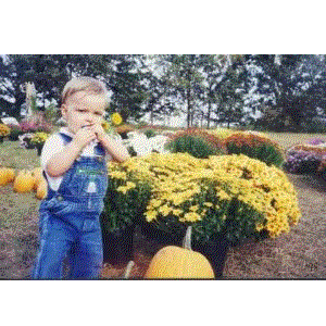 McGee Pictures